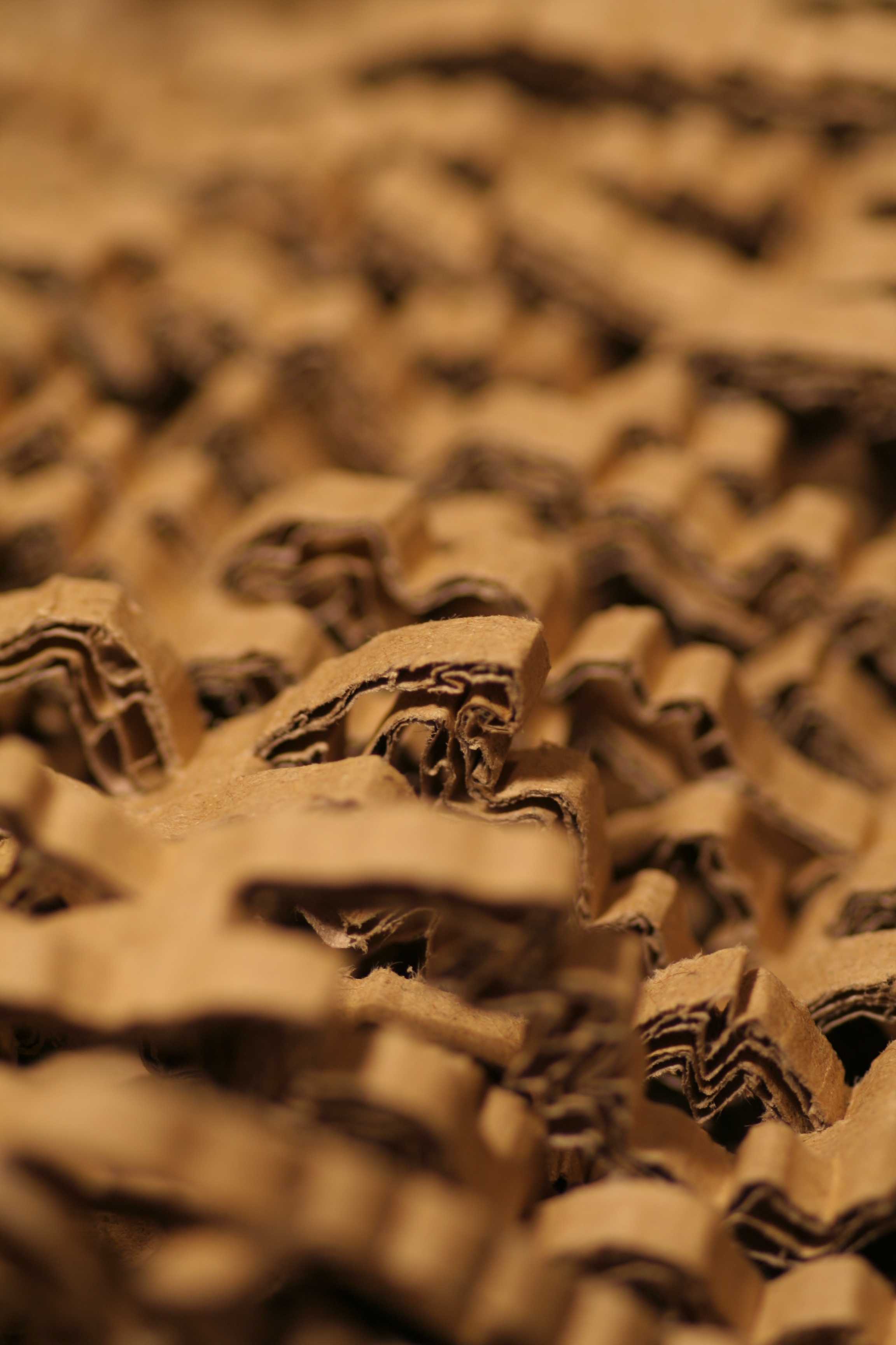 Element 5 von 6 (Bild) – Kartonschredder Flex